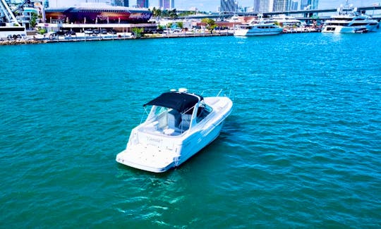Beautiful 42' Four Winns - Yacht up to 13 guests and floating Mat in Miami!!