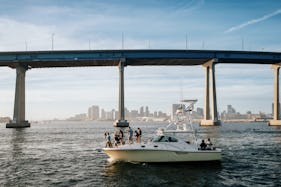 Party Cruiser in San Diego Bay