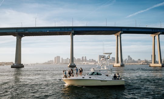 33ft Party Cruiser in San Diego Bay (Up to 12 guests)