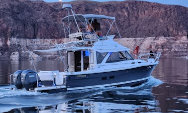 Croisière Catalina ! Nouveau Flybridge Cruiser 2023 à Dana Point, en Californie