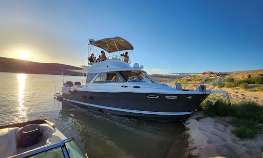 Catalina Cruise! New 2023 Flybridge Cruiser in Dana Point, California