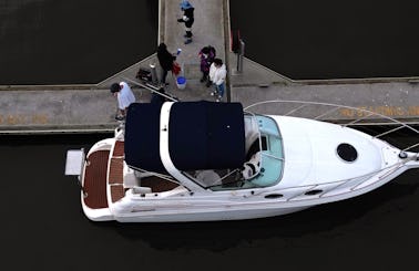 28ft Mustang "Sally" Cruiser Motor Yacht Rental in Docklands, Victoria