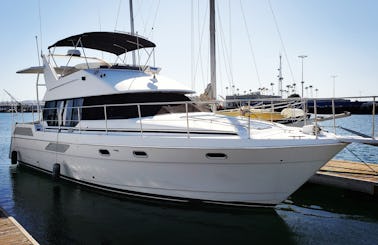 44' Bayliner Motor Yacht available for an epic water day off of Island White in Long Beach, CA