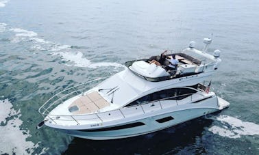 Nouveau yacht de luxe avec Fly-Bridge, coussins solaires, pour 12 personnes, prise en charge à Brooklyn/Nyc/NJ