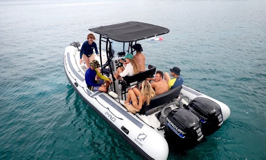 RIB Rental in St Martin for 5 person!