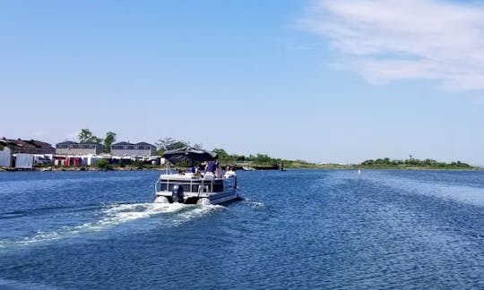 10 Passenger Comfortable  Pontoon Boat - for fun with families / friends