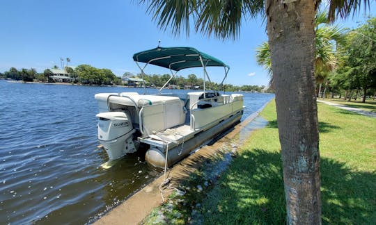 w/ captain Scalloping Season June 10 through Aug 18t in Tarpon Springs, Florida