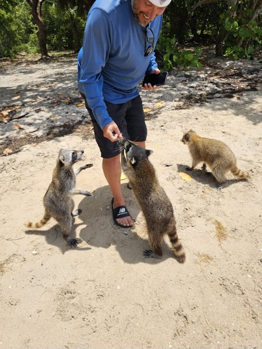 Raccoon Island Boat Tour