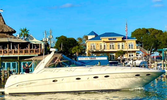 Seas The Day With Searay Sundancer in Fort Lauderdale, Florida