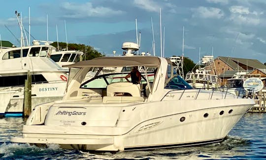 Seas The Day With Searay Sundancer in Fort Lauderdale, Florida