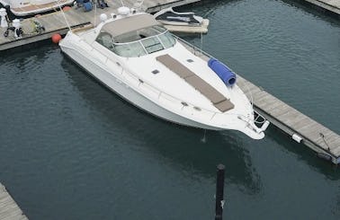 50' Sea Ray -GREAT PARTY YACHT* STAR CHICAGO