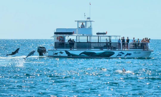 Power Catamaran perfect for your private party venue