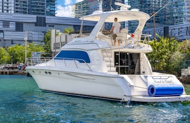 Charter my beautiful 50’ Sea Ray Sedan Bridge Motor Yacht in Miami, Florida