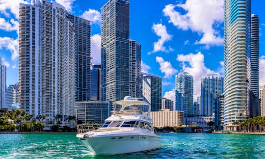 Charter my beautiful 50’ Sea Ray Sedan Bridge Motor Yacht in Miami, Florida