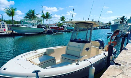 23 Foot Grady White Available to Rent In Key Largo Florida