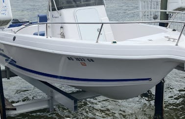 19ft  Proline Boat Rental in Racine, Wisconsin