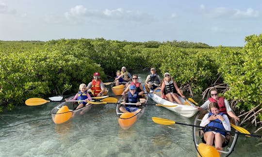 Tours y alquileres guiados de kayak/tablas de remo en Clear