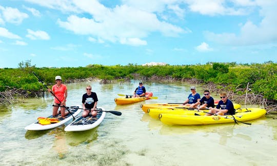 Tours y alquileres guiados de kayak/tablas de remo en Clear