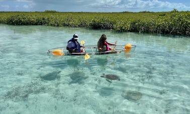Guided Clear Kayak /Paddle Board Tours and Rentals