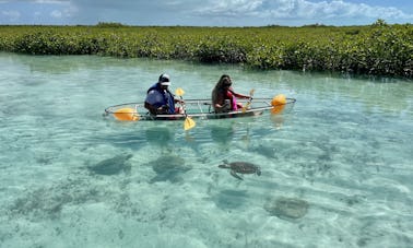 Passeios e aluguel guiados de caiaques/pranchas de remo