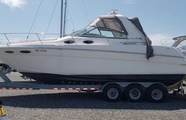 Powerboat for 10 people in Toronto