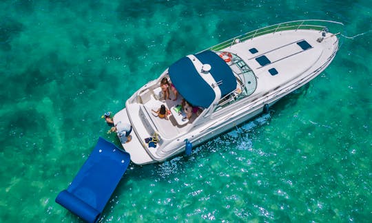 Beautiful Sea Ray 40' Motor Yacht in Miami