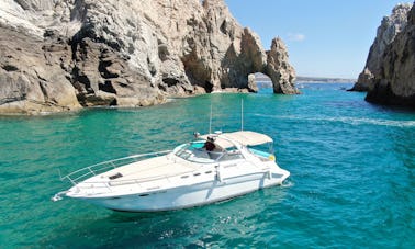 Luxury 40 ft Sea Ray Yacht in Cabo San Lucas!