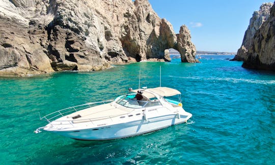 Let our experienced captain and sailor guide you on a memorable tour of Los Cabos' highlights, including Lover's Beach, the Arch, and more.