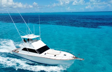 55ft Ocean Yachts the Champion of the Seas with AC in Cancún, Quintana Roo
