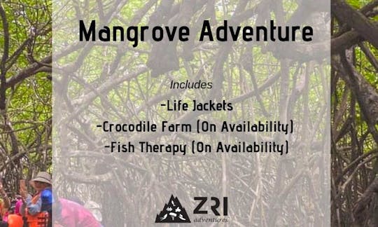 Mangrove Adventure in Bentota