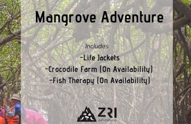 Mangrove Adventure in Bentota