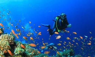 Mergulho em Bentota, Sri Lanka