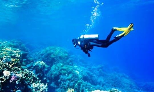 Scuba Diving in Bentota, Sri Lanka