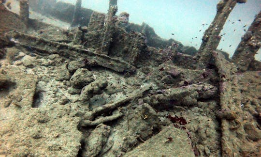 Scuba Diving in Unawatuna