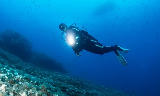 Scuba Diving at Dusk in Unawatuna