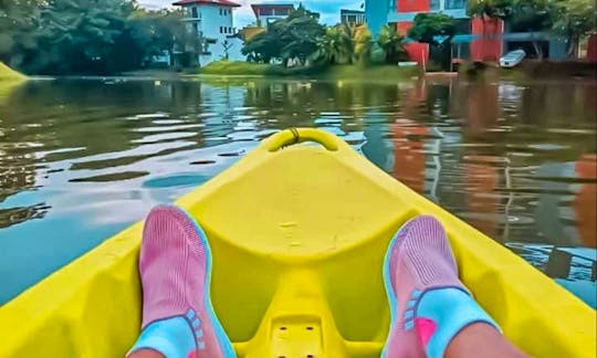 Kayaking in Colombo, Sri Lanka