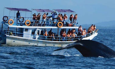 Thrilling 4-Hour Whale Watching Adventure in Mirissa, Sri Lanka