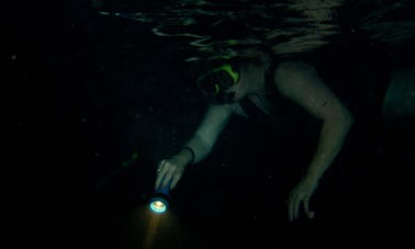 Buceo nocturno en Mirissa, Sri Lanka