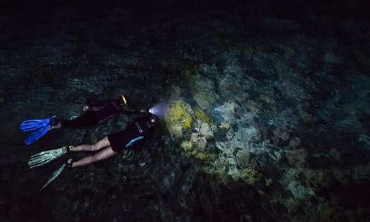 Night Snorkeling in Mirissa, Sri Lanka