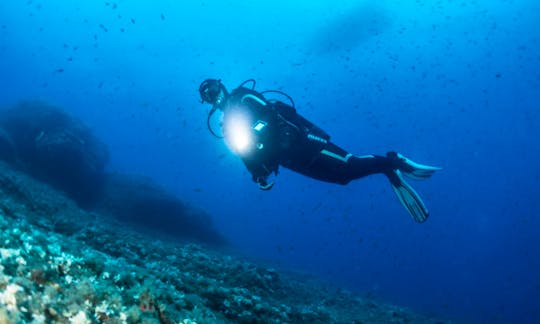 Scuba Diving at Dusk in Mirissa, Sri Lanka