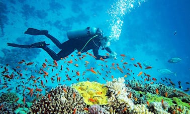 Plongée sous-marine à Mirissa, Sri Lanka