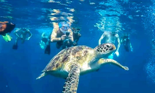 Snorkeling with Turtles in Mirissa, Sri Lanka