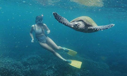 Snorkeling with Turtles in Mirissa, Sri Lanka