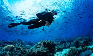 Scuba Diving in Trincomalee, Sri Lanka