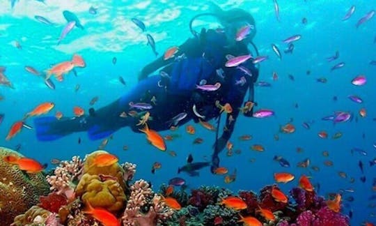 Snorkeling in Trincomalee, Sri Lanka