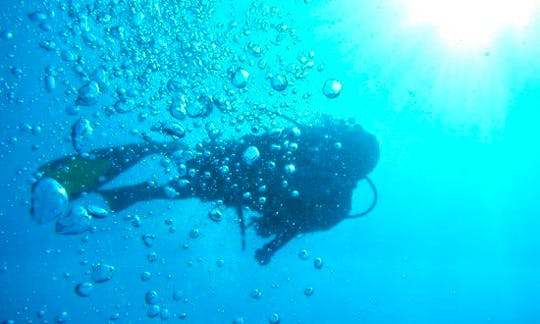 Scuba Diving in Negombo, Sri Lanka