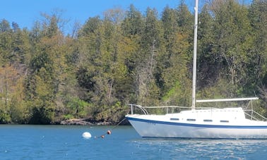 Velero pequeño Tanzer de 26 pies para un día en Charlotte