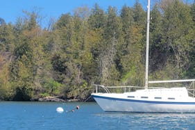 Tanzer 26' Small Sailboat for Day in Charlotte