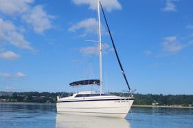 Sailboat Powerboat Hybrid Seattle, Washington
