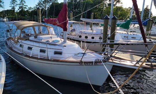 Cute Island Packet 27 sailboat with highly experienced Captain in Baltimore Inner Harbor